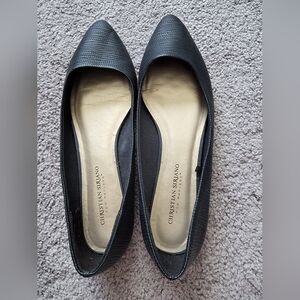 Pointy Toe Flats